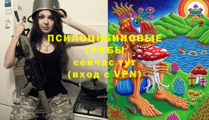 kraken рабочий сайт  закладки  Ельня  Псилоцибиновые грибы Cubensis 